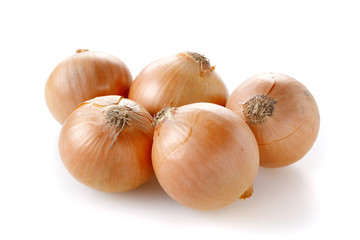 タマネギ　Onion
