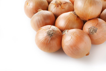 タマネギ　Onion