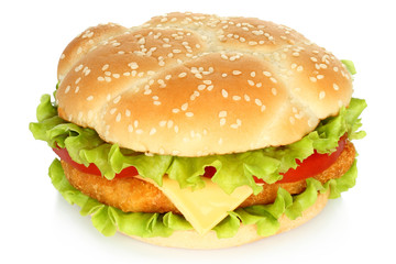 Big chicken burger on white background.