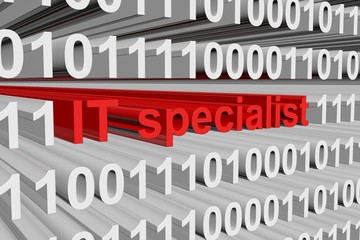 The IT specialist is presented in the form of binary code