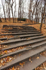 park stairs