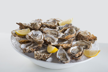 Alimentation Huitres