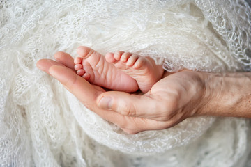 Baby feet in father hands. Tiny Newborn Baby's feet on male shap