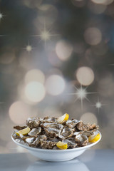 Alimentation Huitres