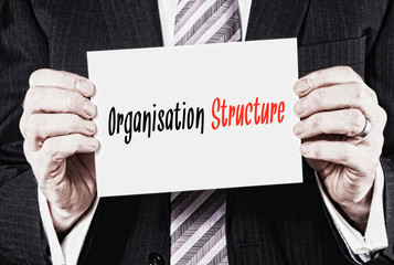Organisation Structure Concept.