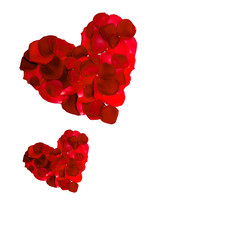 valentines red  rose petal heart