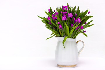 Obraz premium snowdrops