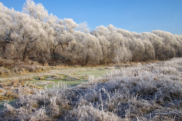 Winter day in the Russian village
