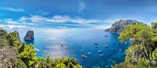 Acrylic prints Mediterranean Europe Capri island  in Italy