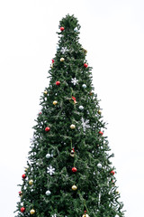 Christmas tree on white background.