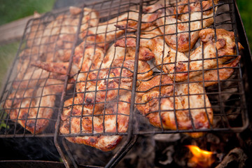 cooked meat. The meat is cooked on an open fire . Juicy and flavorful , it absorbed the smell of smoke .