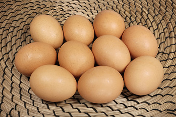 Ten chicken's eggs