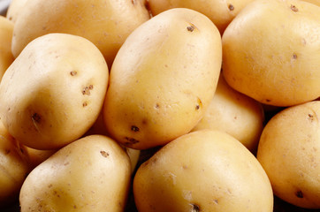 Potato background