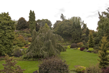 Reine Elizabeth Parc, Vancouver6
