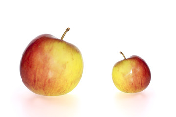 big and small juicy apples