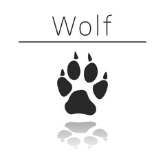 Wolf animal track