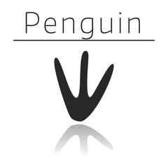Obraz premium Penguin animal track