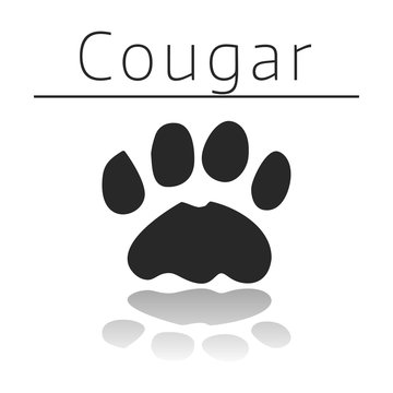 Cougar animal track