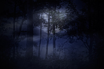 Fototapeta na wymiar Full moon rises over a forest on a misty night