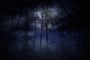 Gordijnen Full moon rises over a forest on a misty night © Zacarias da Mata