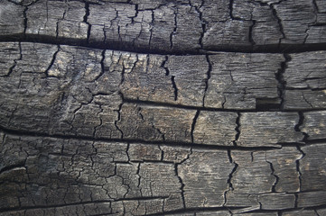 Abstract burn wood background