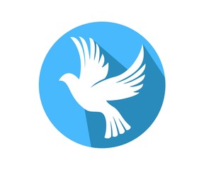dove symbol peace love unity respect circle