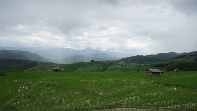 Timelapse of moving rain&cloud over Terraced rice field at Chiang Mai. Thailand. beginning of raining season.