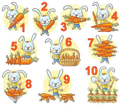Numbers in pictures set, rabbit and his carrots