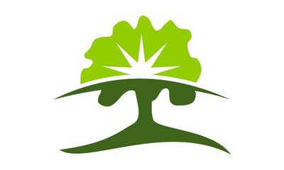 Tree Conservation