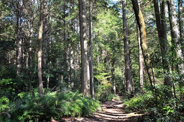 京都一周トレイル　大文字山