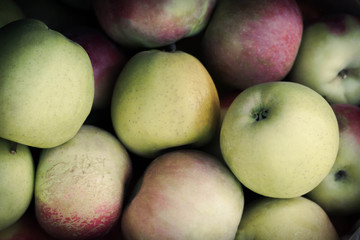 Mcintosh Apples