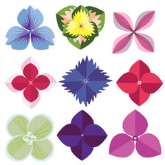 vector of Various Hydrangea Flowers Isolated on White Background. 