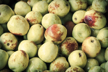 Jujube Fruit