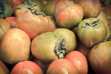 Persimmon Fruit