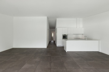 Fototapeta na wymiar modern apartment, domestic kitchen