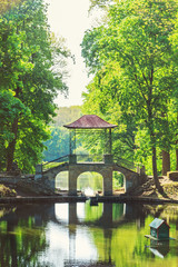Fototapeta premium Chinese bridge