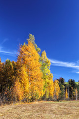 Herbstlandschaft im Allgäu