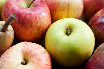 Fototapeta na wymiar différentes variétés de pomme et poires 