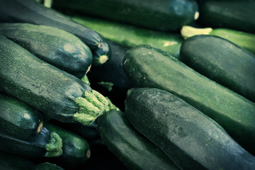 Zucchini