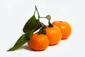 Fresh tangerines with leaves