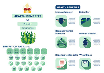 health benefits of kelp (seaweed) infographic
