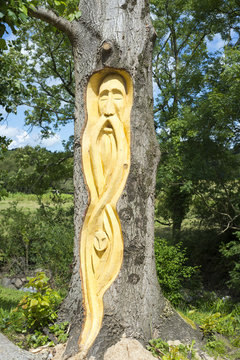 celtic tree engraving in tarbert park