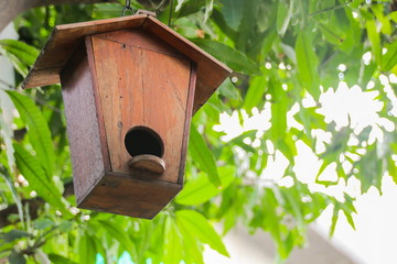 Bird house in the garden