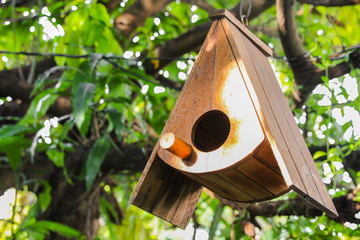 Bird house in the garden