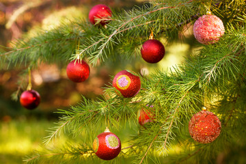 Pine tree full of shiny decoration balls