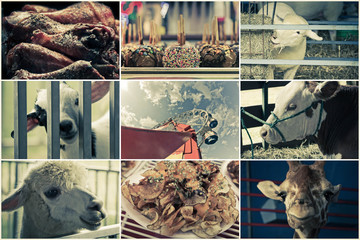Summer Carnival Collage