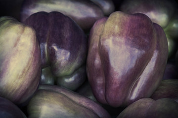 Purple Bell Peppers