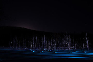 ライトアップされた夜の湖