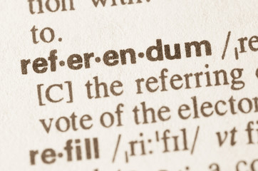 Dictionary definition of word referendum