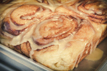 Cinnamon Buns Closeup
